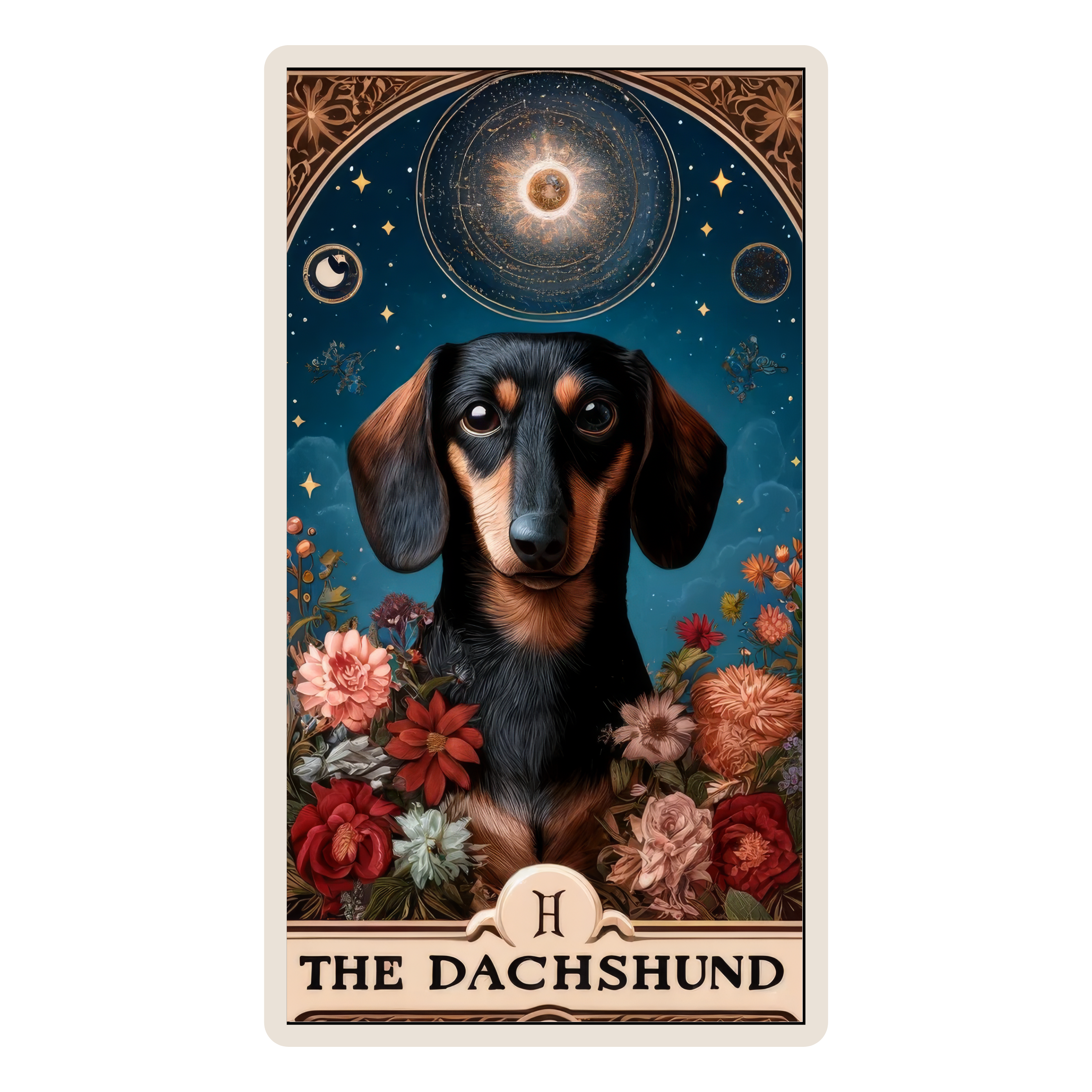 The Dachshund
