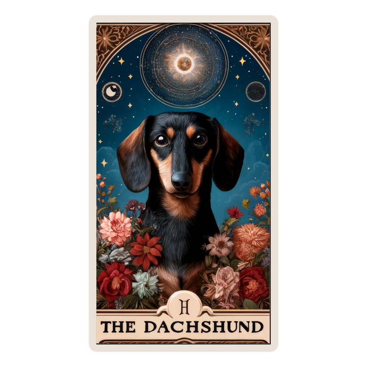 The Dachshund