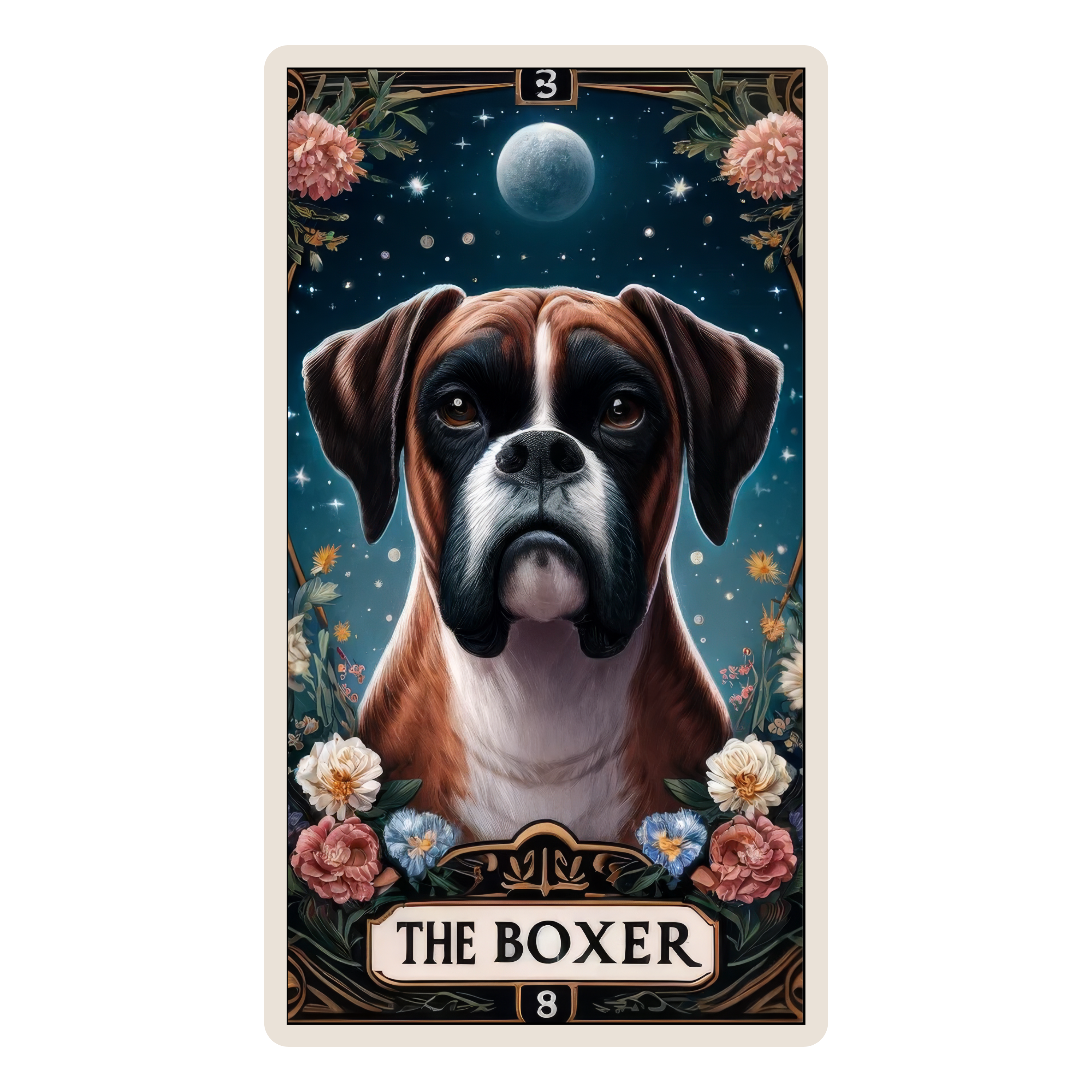 The Boxer