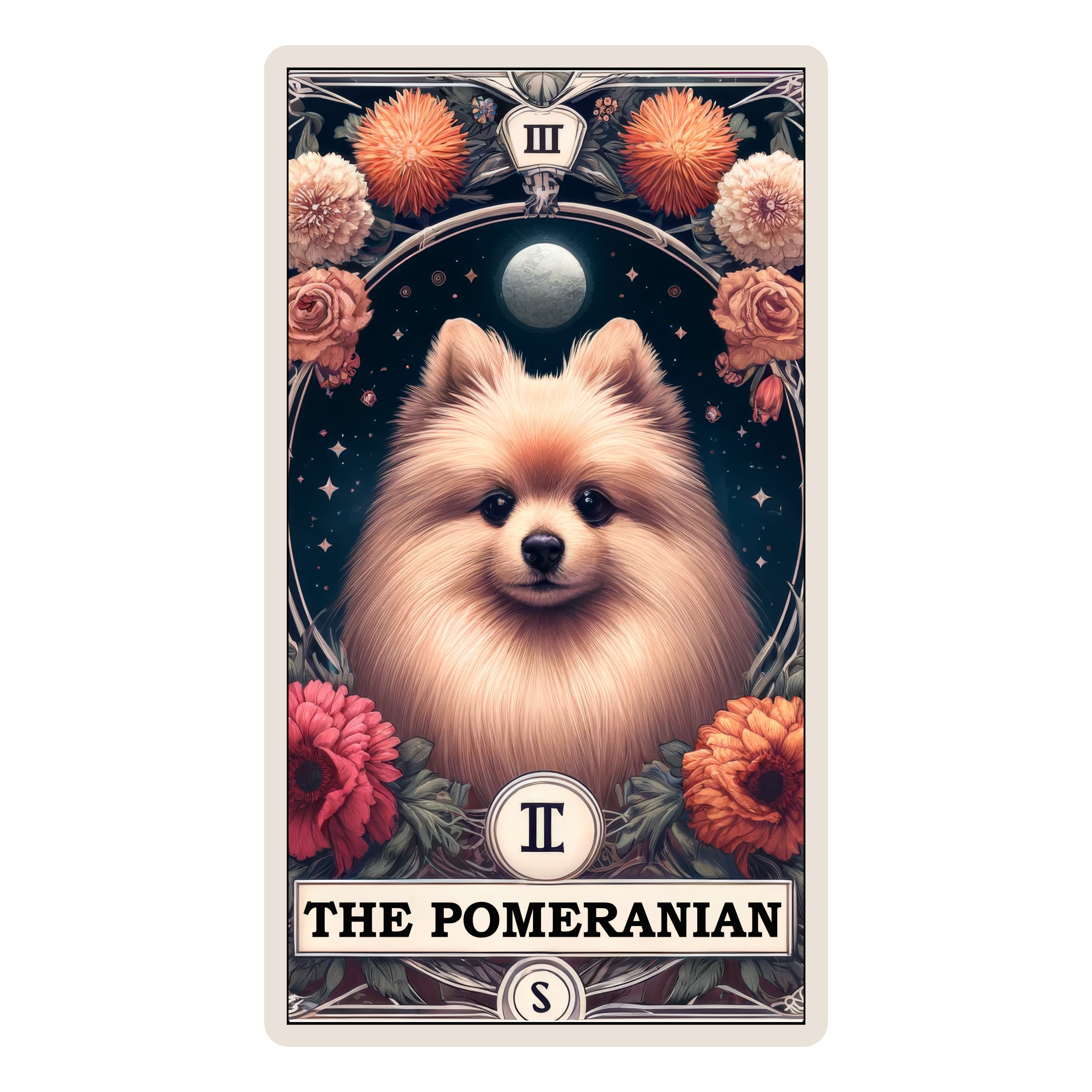 The Pomeranian