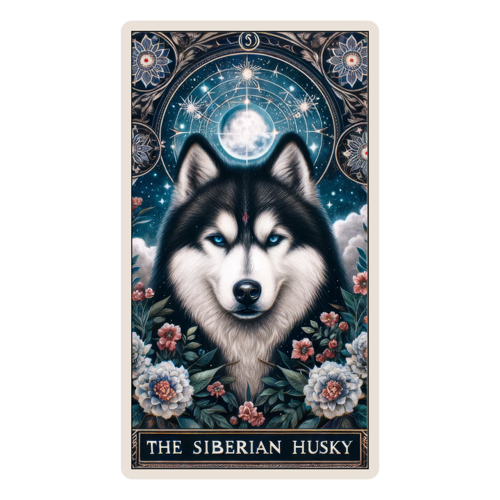 The Siberian Husky
