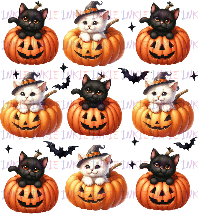 Halloween Kitty Coquette